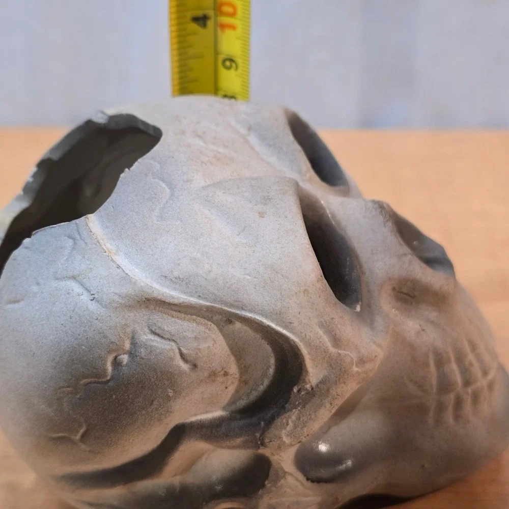 Plastic Human Skull Small 5